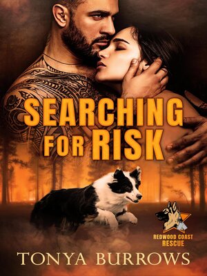 cover image of Searching for Risk